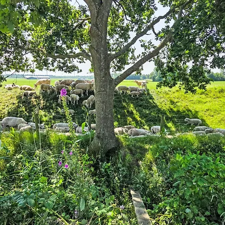 By Interhome Prázdninový dům *