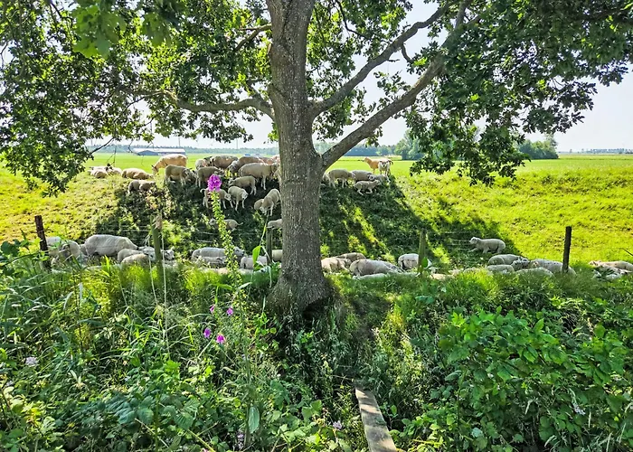 By Interhome 펜션 *